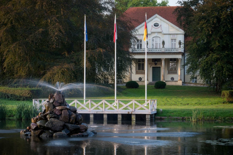 Pałac w Drulitach